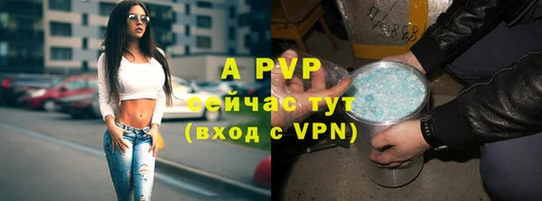 винт Алексин