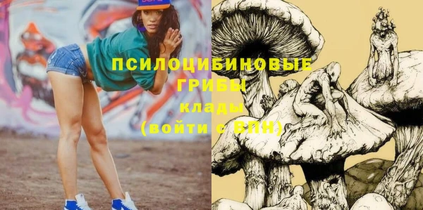 соль курить ск Алексеевка