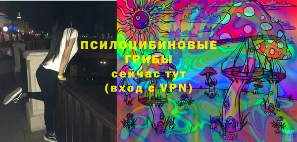 винт Алексин
