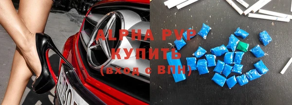 стаф Алзамай
