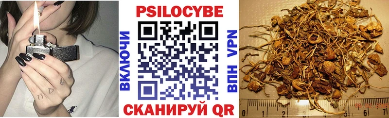 Галлюциногенные грибы мицелий  где найти наркотики  Сасово 
